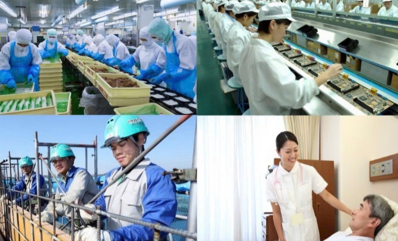 Nguồn nhân lực là gì? Cách quản lý, nâng cao chất lượng nhân sự